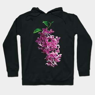 Lilacs - Delicate Pink Lilacs Hoodie